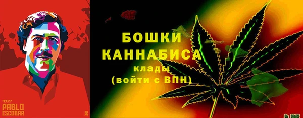 индика Магас