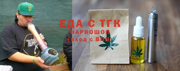 индика Магас