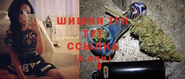индика Магас
