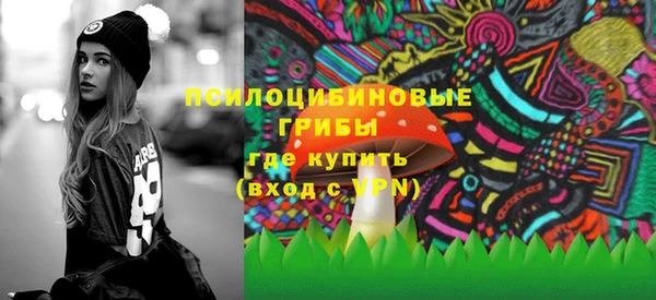 индика Магас