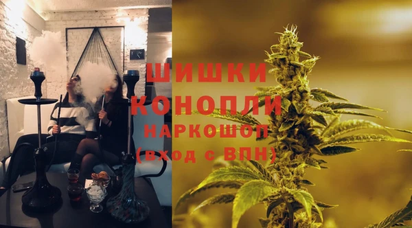 индика Магас