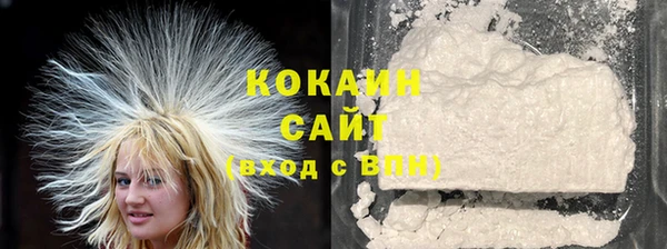 шишки Покачи