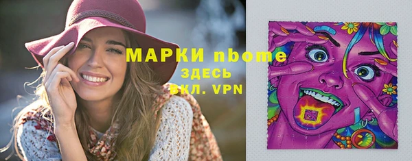 индика Магас