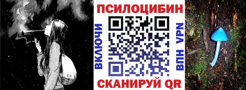 Псилоцибиновые грибы мухоморы  наркотики  Новосиль 
