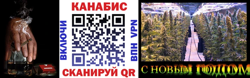 Бошки марихуана план  blacksprut онион  Новосиль  дарнет шоп 